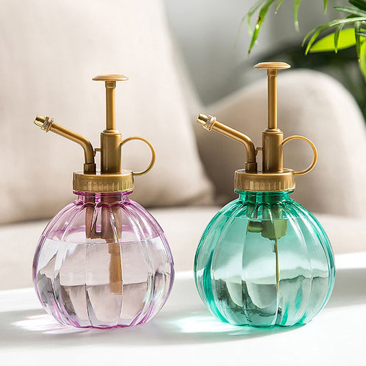 Plastic Watering Canteen Sprayer